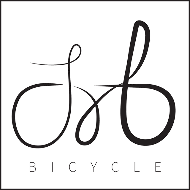Bicycle Fine Art